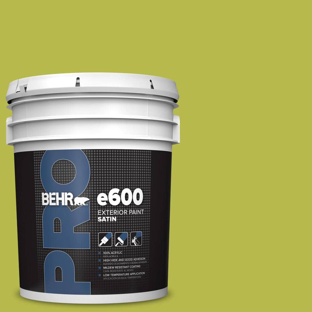 5 gal. #400B-6 Japanese Fern Satin Exterior Paint price history on PriceWatchPro
