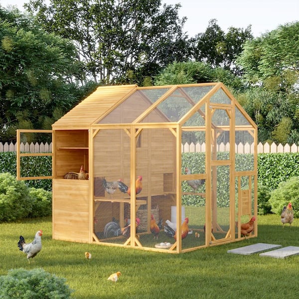 74.1 in.H x 66.5 in.W x 72.6 in. D Chicken Coop Fir Wood Super Large Wooden Chicken House Poultry Cage for Chickens, Log
