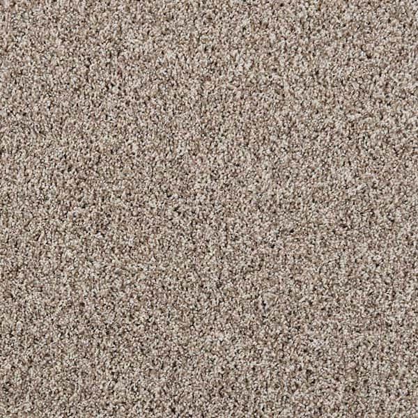 Lifeproof with Petproof Technology Barx II - Neutral - Beige 56 oz. Triexta  Texture Installed Carpet 0778D-26-12 - The Home Depot