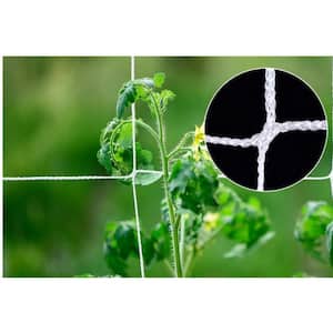 OwnGrown 4x66ft Green Garden Wire: Florist, Plant Support, Craft & Climbing  Plant Wire, 9.84 H 2.36 L 0.79 W - Kroger