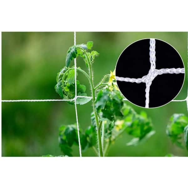 Agfabric 5 ft. x 30 ft. Plant Netting, Tomato Trellis Netting, Vegetables, Flowers, Fruits Climbing Garden Netting, White