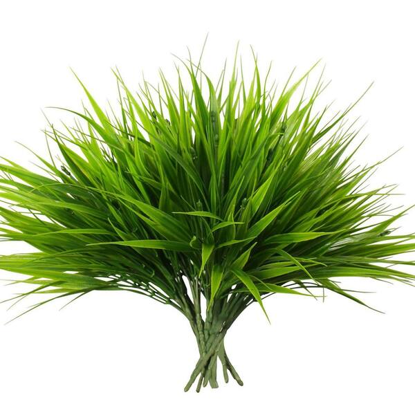 Monkey Grass Home Depot