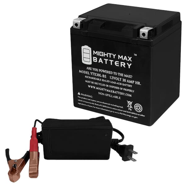 MIGHTY MAX BATTERY 12-Volt 30 Ah 385 CCA AGM Sealed Lead Acid (SLA)  Powersport Battery YTX30L-BS - The Home Depot