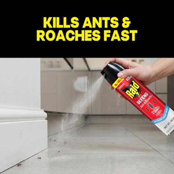 20 oz. Defend Ant and Roach Killer, Indoor Insecticide, Residual Killing Power, Outdoor Fresh Scent, 2-Ct Insect Killer