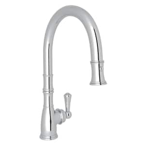 Georgian Era Single-Handle Pull-Down Sprayer Kitchen Faucet in Polished Chrome