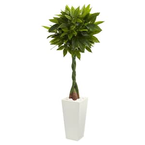 Real Touch 5.5 ft. High Indoor Money Artificial Tree in White Tower Planter