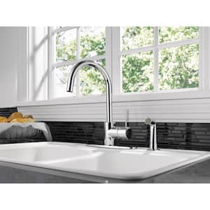 Apex Single-Handle Standard Kitchen Faucet with Side Sprayer in Chrome
