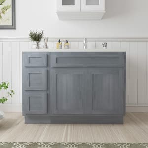 48 in. W x 21 in. D x 32.5 in. H Bath Vanity Cabinet without Top in Silver