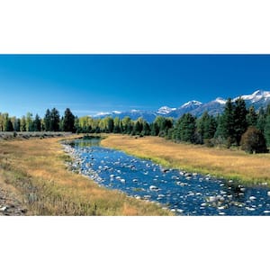 River View - Weather Proof Scene for Window Wells or Wall Mural - 100 in. x 60 in.