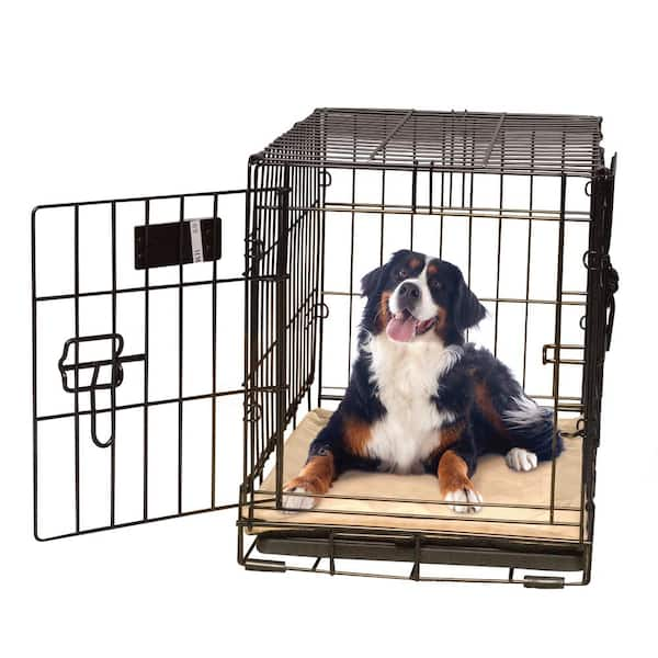 Dog store crate warmer