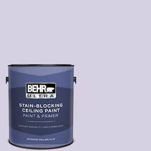 1 gal. #M560-2 Fanciful Ceiling Flat Interior Paint and Primer