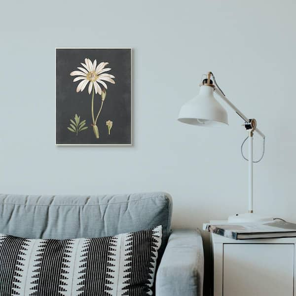 Stupell Industries 13 In. X19 In. "Botanical Drawing White Flower On ...