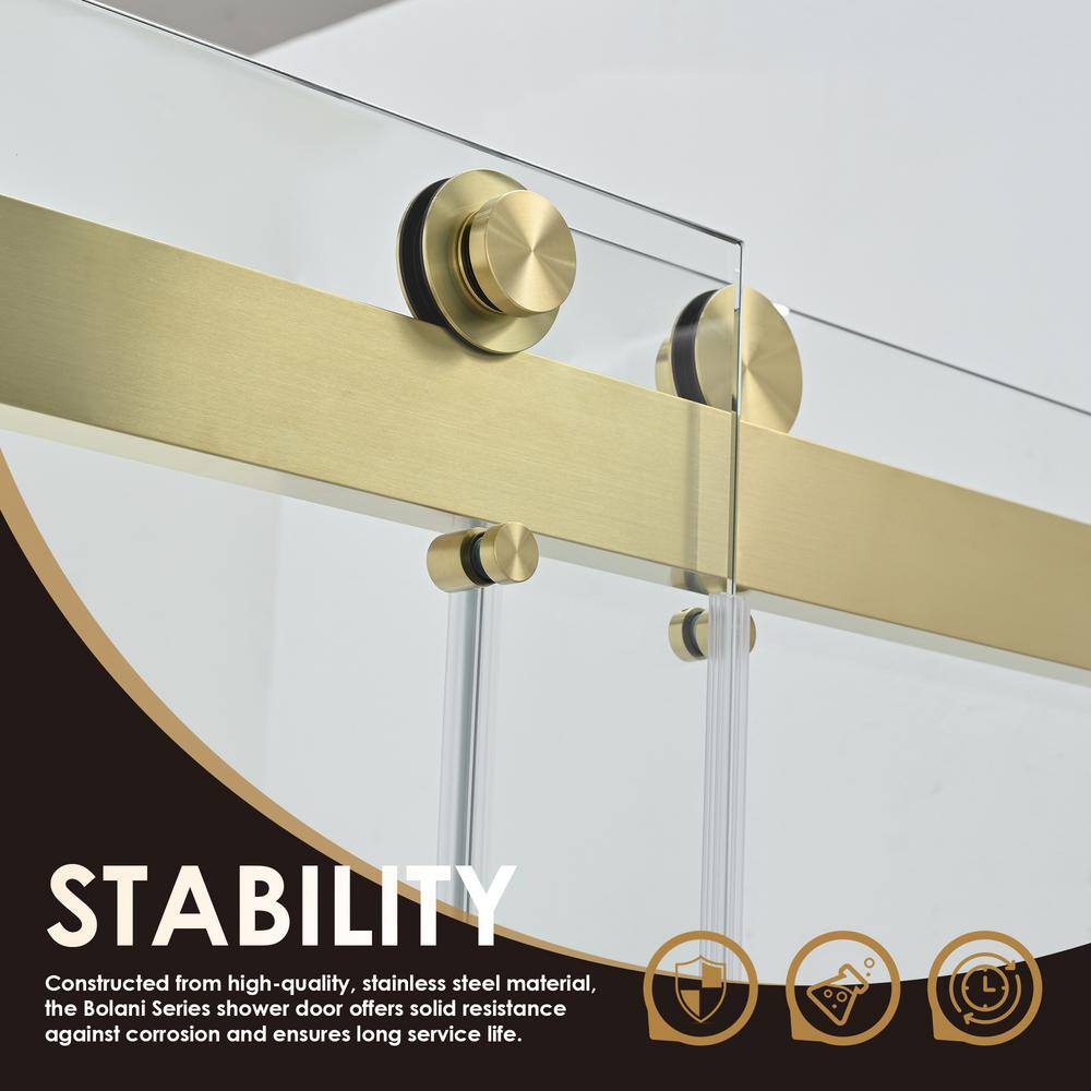 Bolani 60" Brushed Gold Frameless Glass Shower Door
