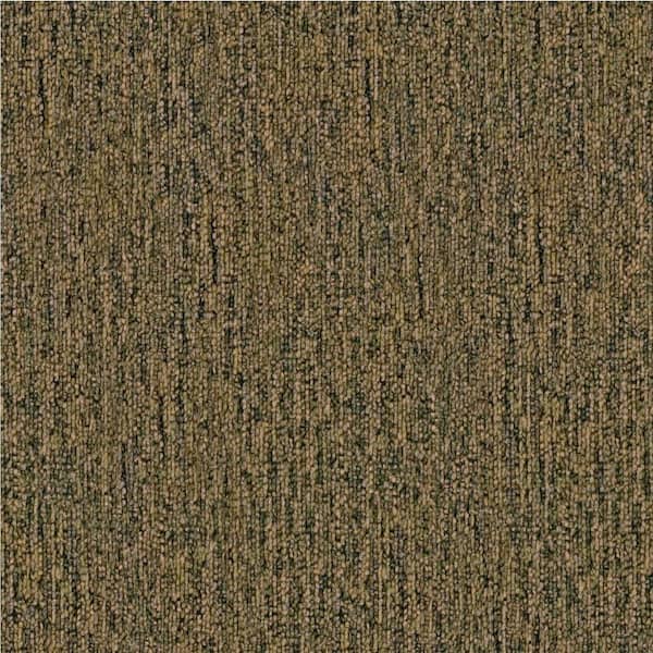 Beaulieu Carpet Sample - Key Player 20 - In Color Cheers 8 in. x 8 in.