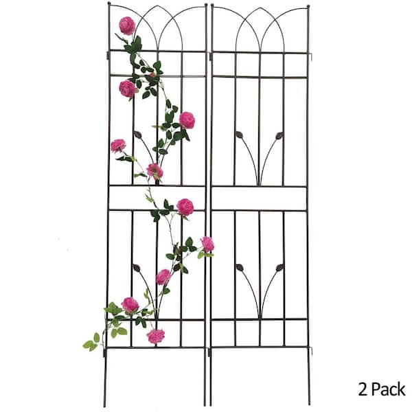 ToolCat 2-Pack 71 in. x 17.7 in. Metal Garden Trellis Outdoor Rustproof Flower Support for Climbing Plants, Brown
