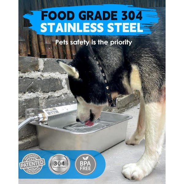 wet dog food for cats Moist Food in Cans EVOLUTION DIET PROVEN BEST HEALTH