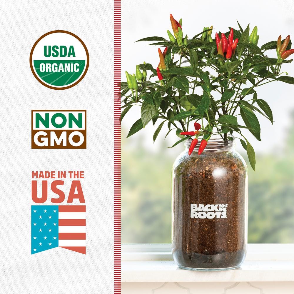 Back to the Roots Organic Self-Watering Chili Pepper Grow Kit