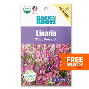 Organic Linaria 'Fairy Bouquet' Gardening Seeds