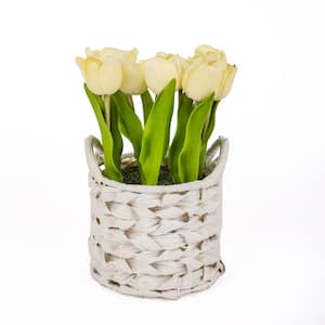 10 in. Artificial Floral Arrangements Tulips in Basket- Color: Light Yellow