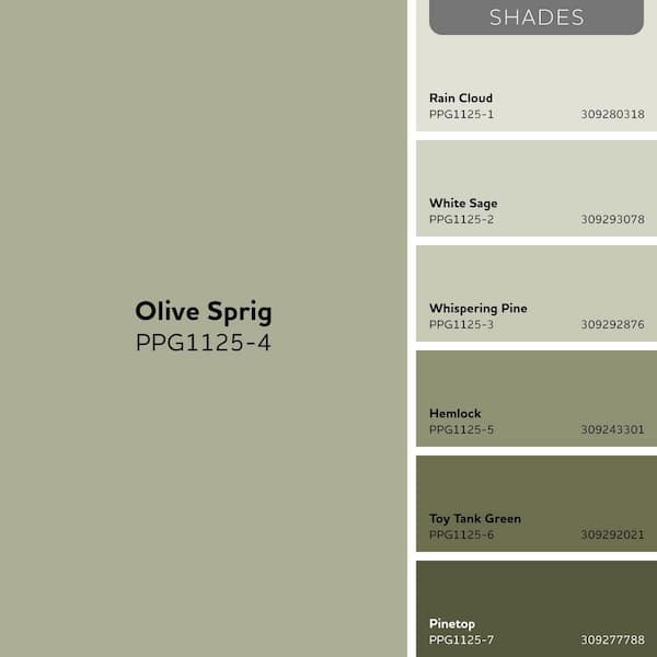オリーブ ロダンアンドフィールズ Glidden Premium 1 qt. PPG1125-4 Olive Sprig Flat/Matte
