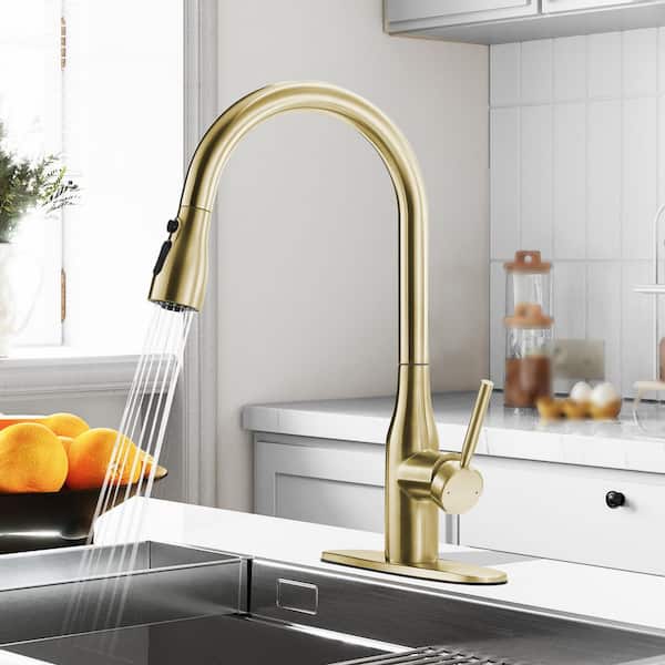 16.9 in. Single-Handle Pull-Down Sprayer Kitchen Faucet with 360 ° Swivel Spout in Brushed Gold