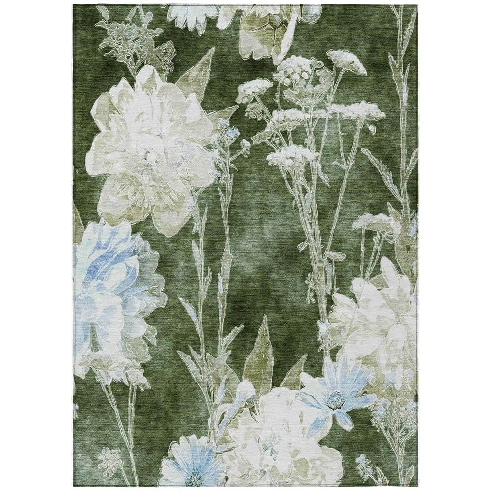 Chantille Machine Washable Indoor/Outdoor Abstract ACN2796 Aloe 5 ft. x 7 ft. 6 in. Area Rug price history on PriceWatchPro