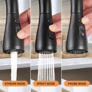 Pause Mode Single Handle Pull Down Sprayer Kitchen Faucet with Deck Plate Included in Black
