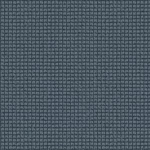 Lyrical Color Lakes Blue 38 oz. Nylon Pattern Installed Carpet