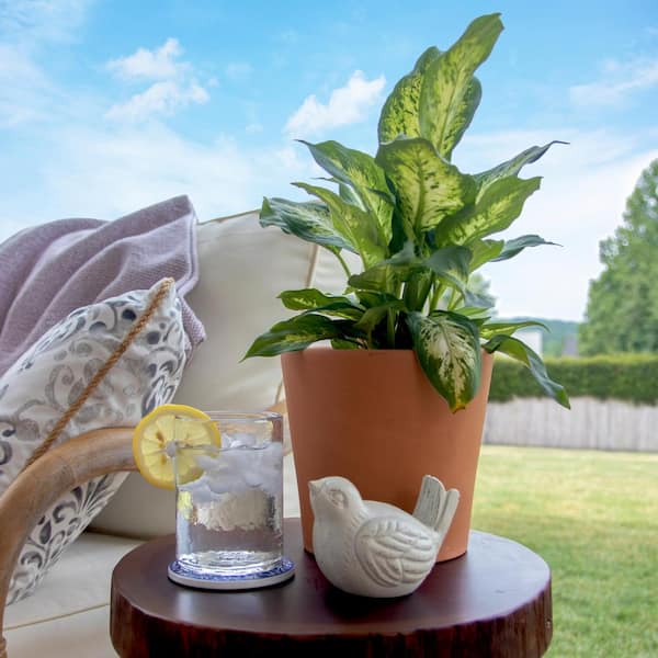 Small - Plant Pots - The Home Depot