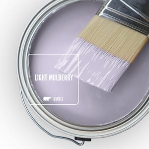 650C-3 Light Mulberry Paint