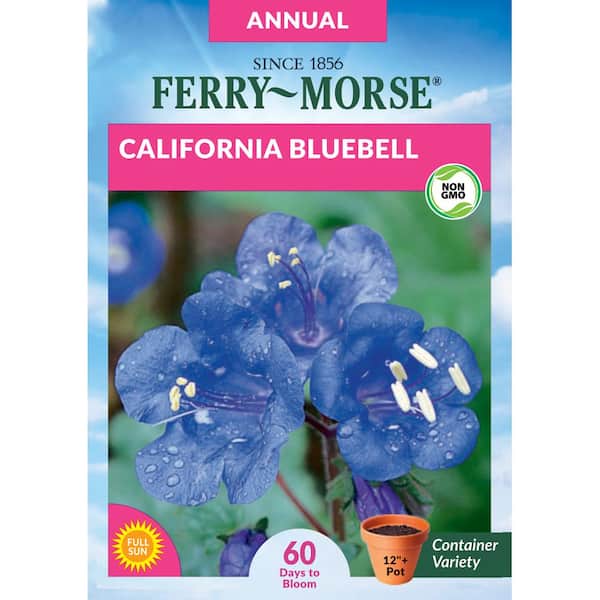 Ferry-Morse California Bluebell Flower Seed