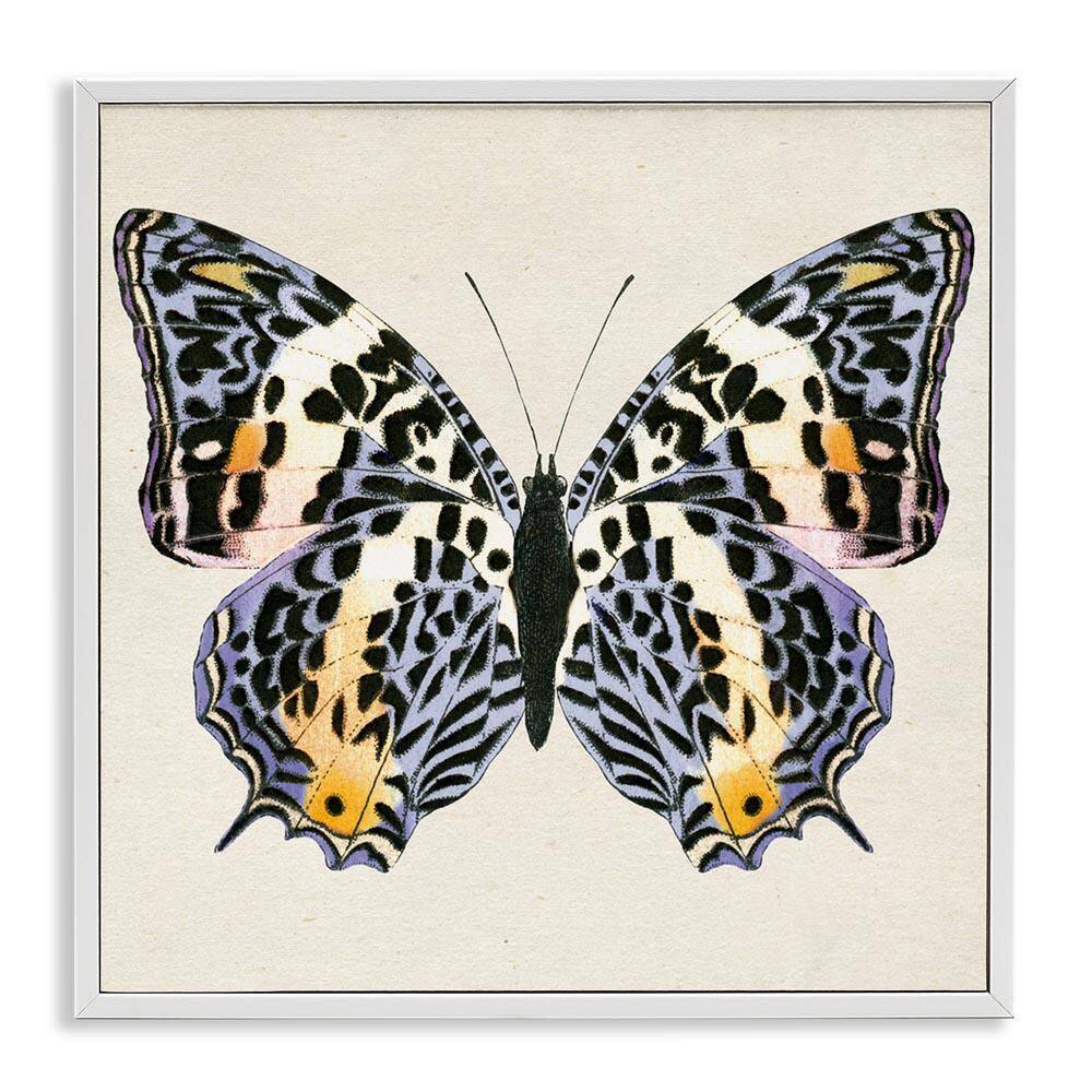 Speckled Butterfly Sketch by Susan Arnot White Framed Animal Giclee Art Print 24 in. x 24 in. price history on PriceWatchPro