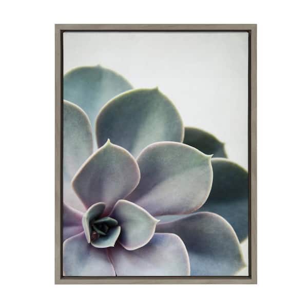 Kate and Laurel Sylvie "Succulent 5" by Emiko and Mark Franzen of F2Images Framed Canvas Wall Art 18 in. x 24 in.