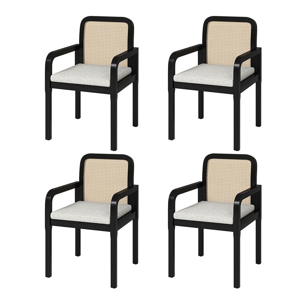 JAYDEN CREATION Gilbert Black Modern Ratten Dining Chair with Removable