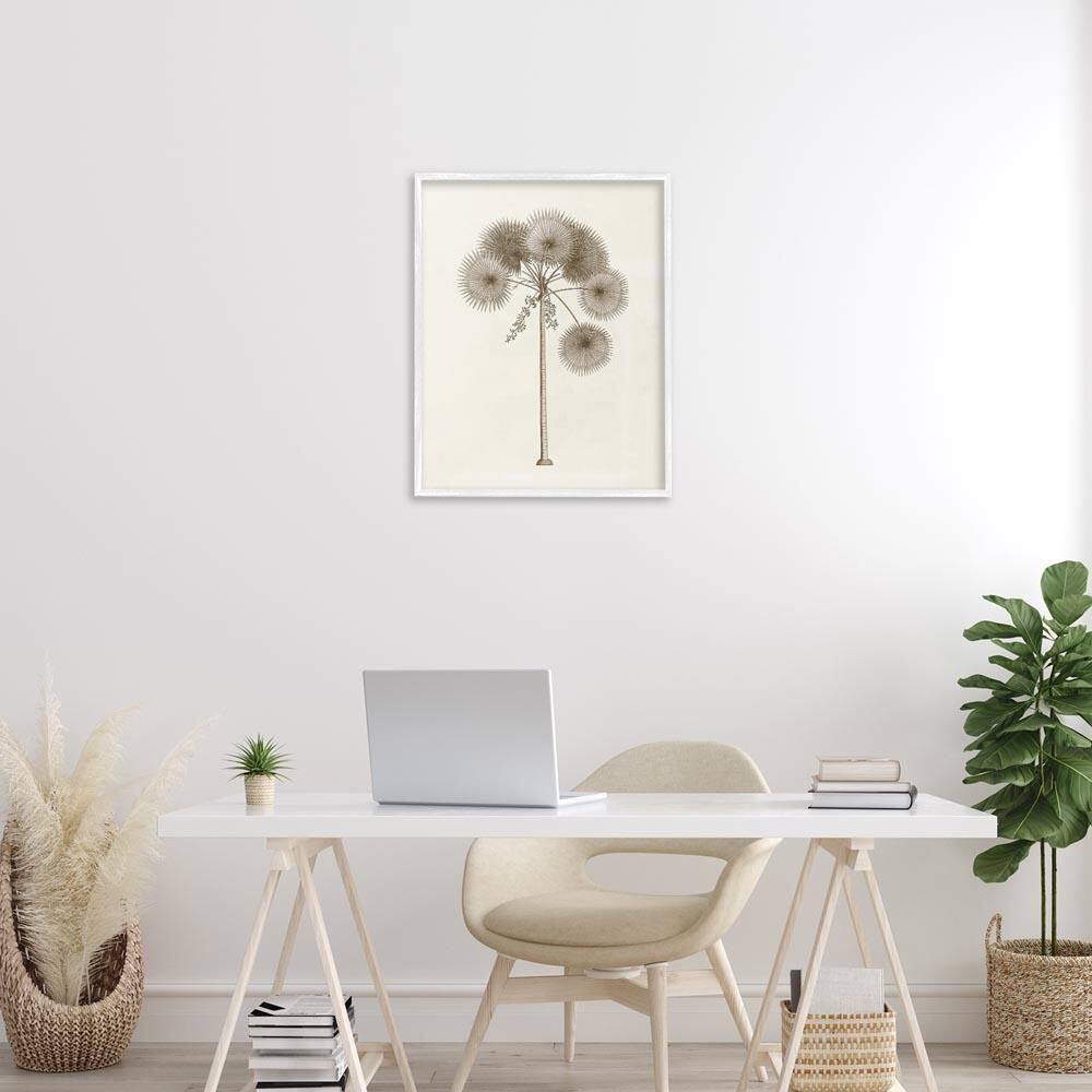 Vintage Study of Palm Tree by Phillipa Katz White Framed Nature Giclee Art Print 30 in. x 24 in. price history on PriceWatchPro