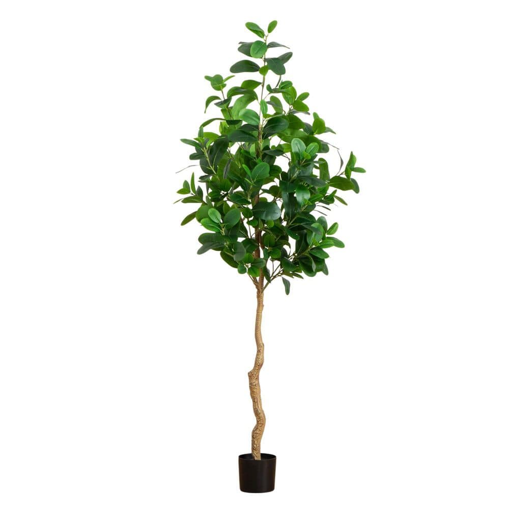 7 ft. Artificial Audrey Ficus Tree price history on PriceWatchPro