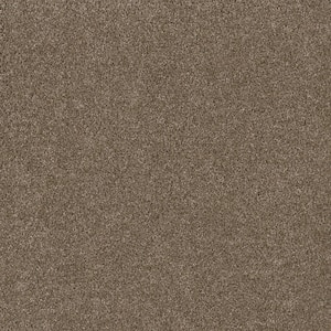 Delight II - Captivate - Beige 65 oz. SD Polyester Texture Installed Carpet