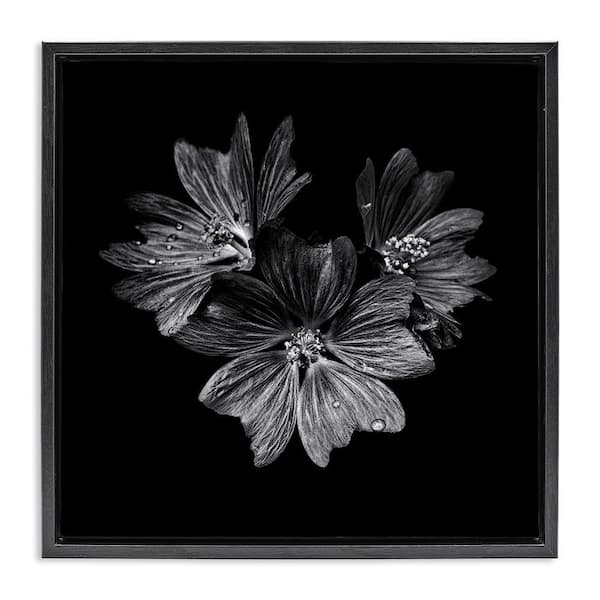 Blossom Trio on Black by Brian Carson Black Floater Frame Nature Graphic Art Print 25 in. x 25 in.