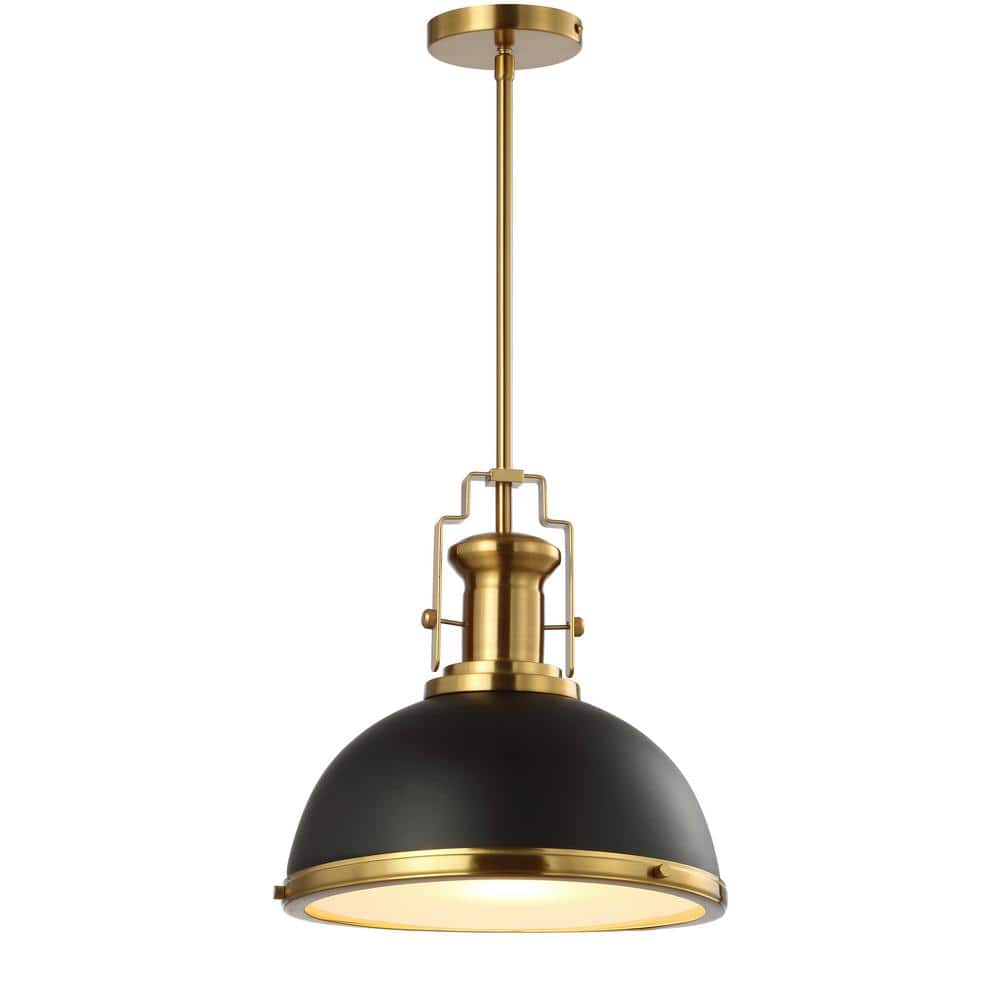 Homer Vintage Black and Brass Gold Iron LED Pendant Light