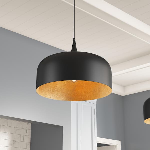Modern 1-Light 20.47 in. Matte Black Pendant Light Adjustable Industrial Hanging Light Fixture