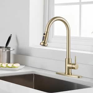 Single-Handle High Arc Sink Faucet with Pull Down Sprayer in Gold