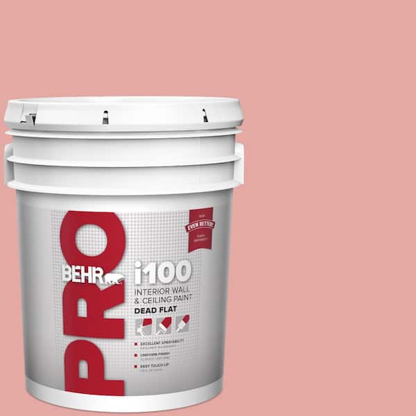 BEHR PRO 5 gal. #MQ4-03 Coral Fountain Dead Flat Interior Paint