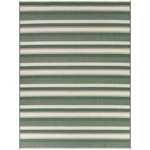 Green 8 x 10 Striped Indoor/Outdoor Area Rug