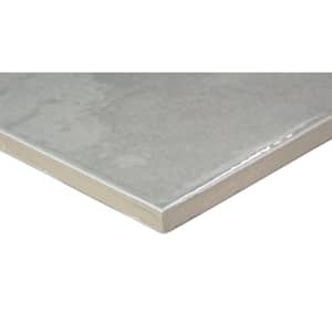 Passion Gris 8.86 in. x 8.86 in. Glossy Porcelain Floor and Wall Tile (10.9 sq. ft./Case)