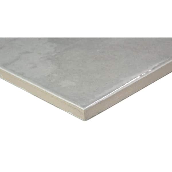 Passion Gris 8.86 in. x 8.86 in. Glossy Porcelain Floor and Wall Tile (10.9 sq. ft./Case)