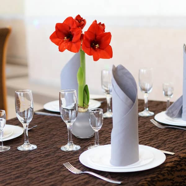 national PLANT NETWORK Silver Waxed Red Blooming Giant Amaryllis Bulb