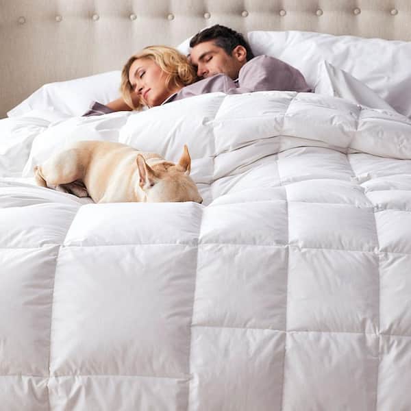 Lacrosse White Queen Duck Down Comforter
