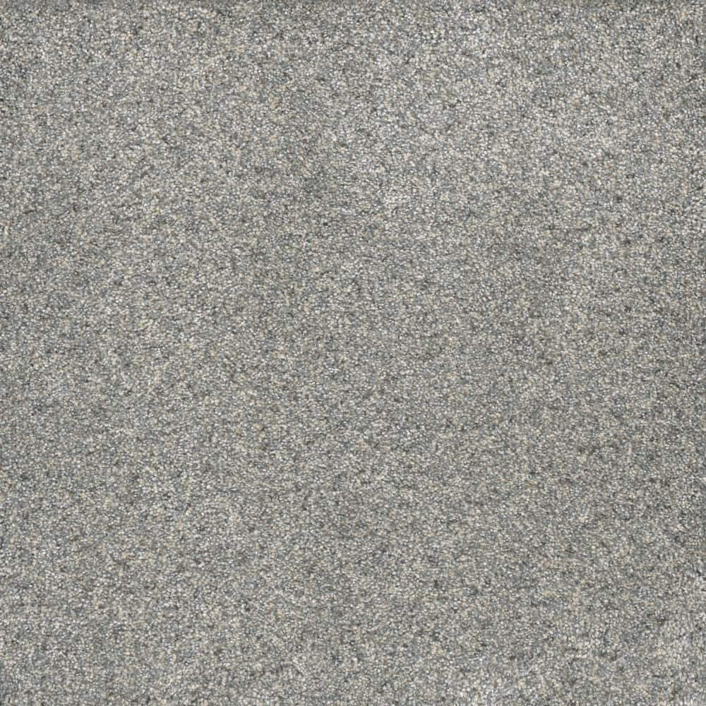 Home Decorators Collection 8 in. x 8 in. Texture Carpet Sample