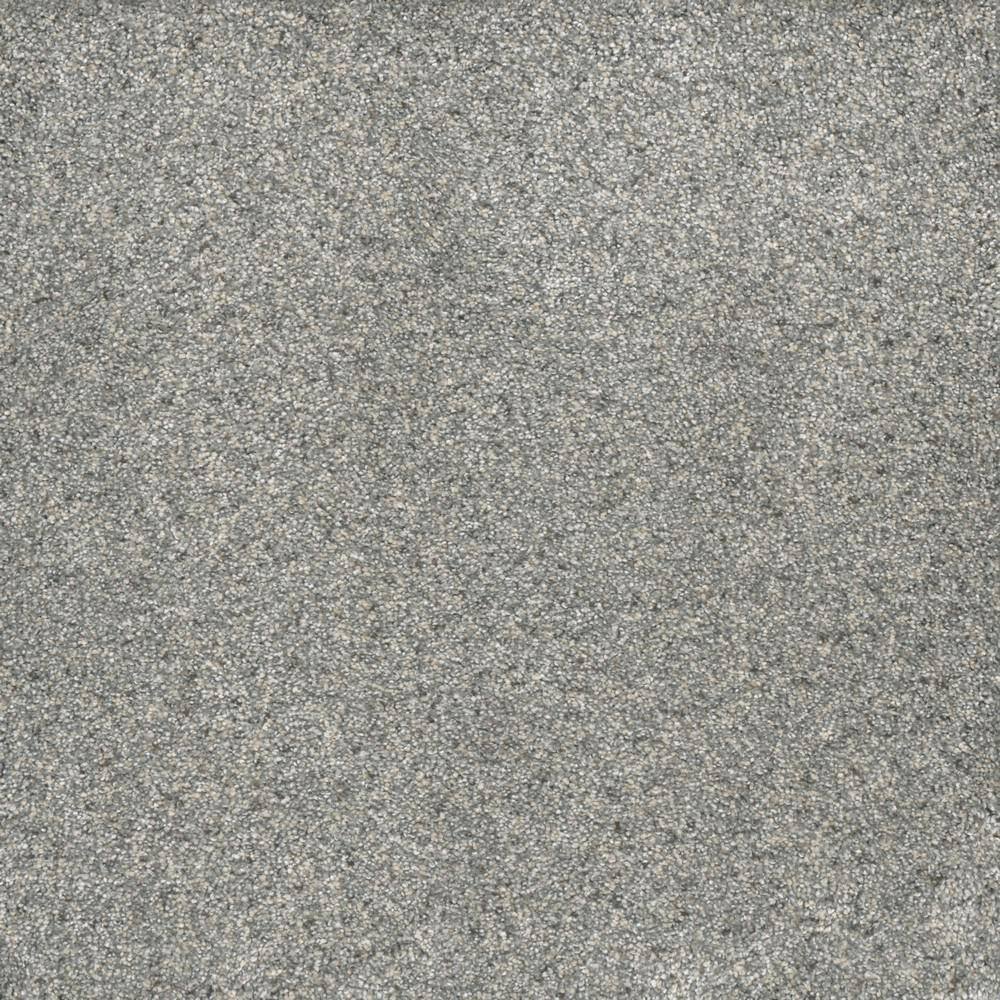 Home Decorators Collection 8 in. x 8 in. Texture Carpet Sample