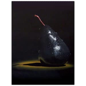 Unframed Black Pear by Roderick Stevens Art Print 2in. x 19in.